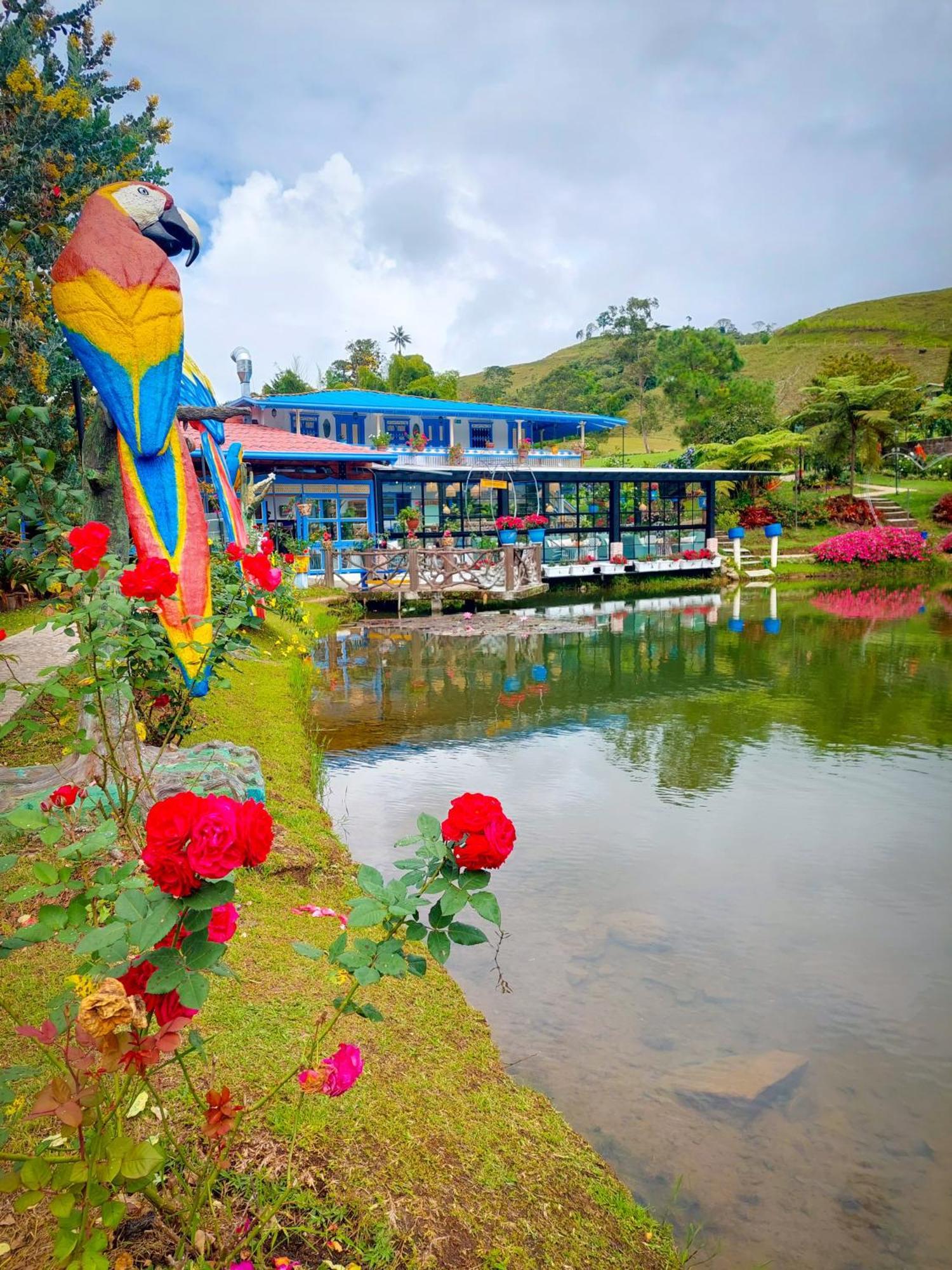 Hotel Lago Valdivia Jardín Esterno foto